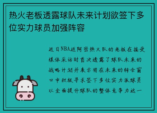 热火老板透露球队未来计划欲签下多位实力球员加强阵容