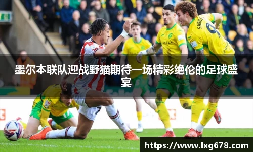墨尔本联队迎战野猫期待一场精彩绝伦的足球盛宴